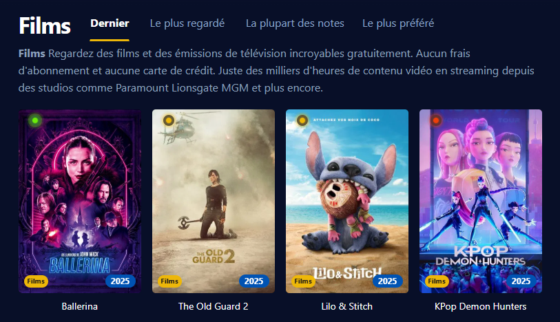 Capture d'ecran de l'interface utilisateur de Filmoflix